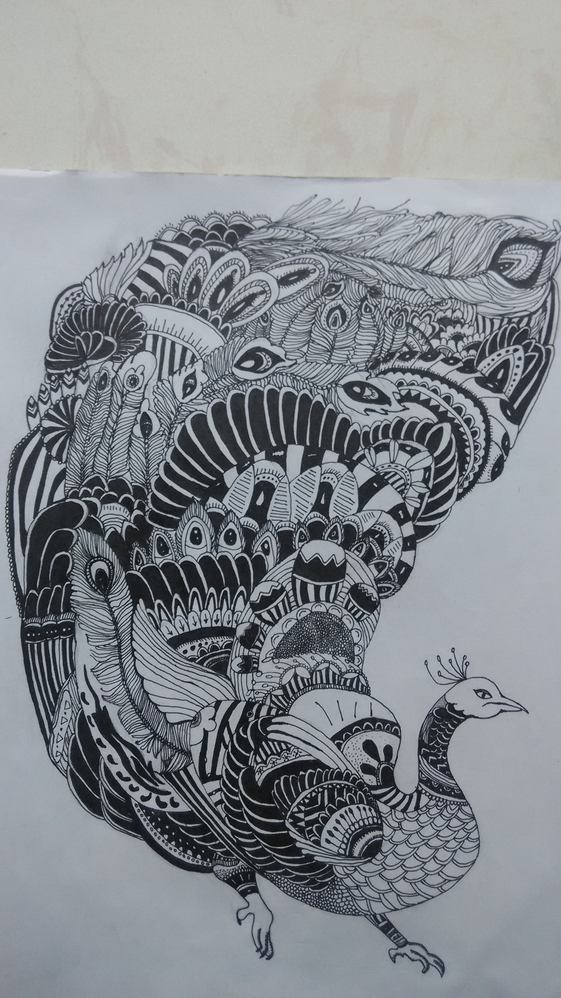 孔雀|纯艺术|素描|开心驿站 - 原创作品 - 站酷