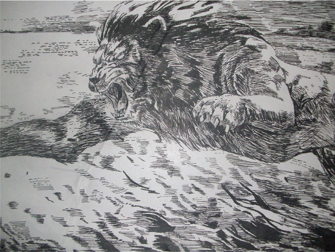 黑白画——狮子王       