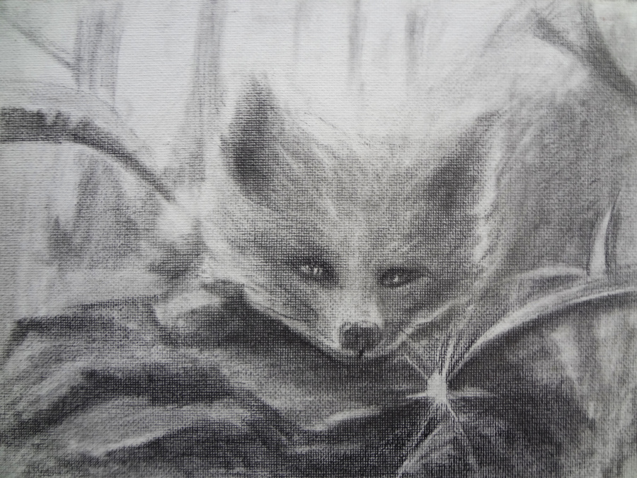 素描--《夕阳下的小狐》|素描|纯艺术|Gavin晓紫