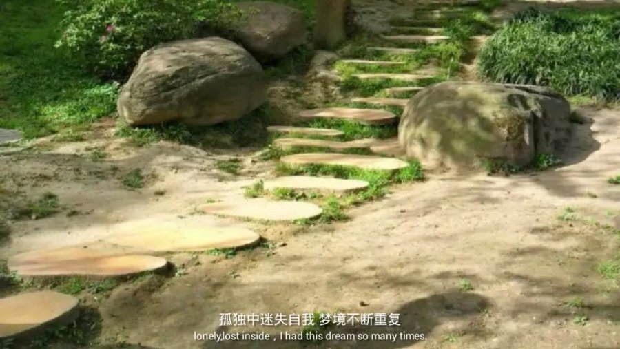 缙云苍苍|风光|摄影|花径飞蓬 - 原创设计作品 -