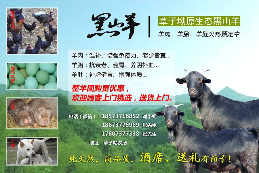 黑山羊养殖基地户外广告海报