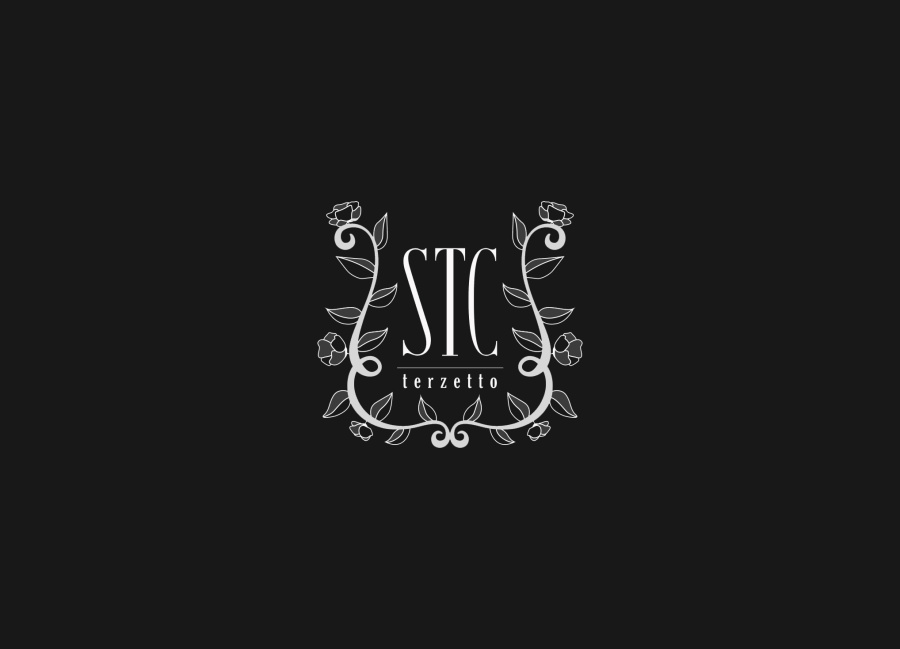 STC-LOGO design|VI/CI|平面|kurosagi - 原创设