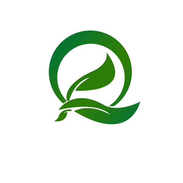 网络公司logo 字母q