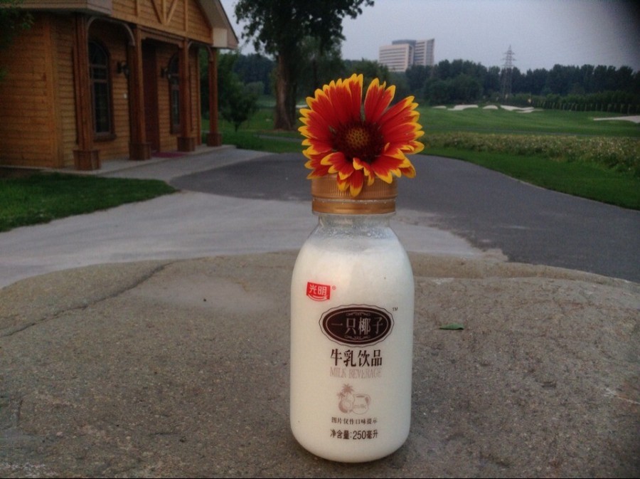 光明乳业随心订大奉送 好品质 看得到 |VI\/CI|平