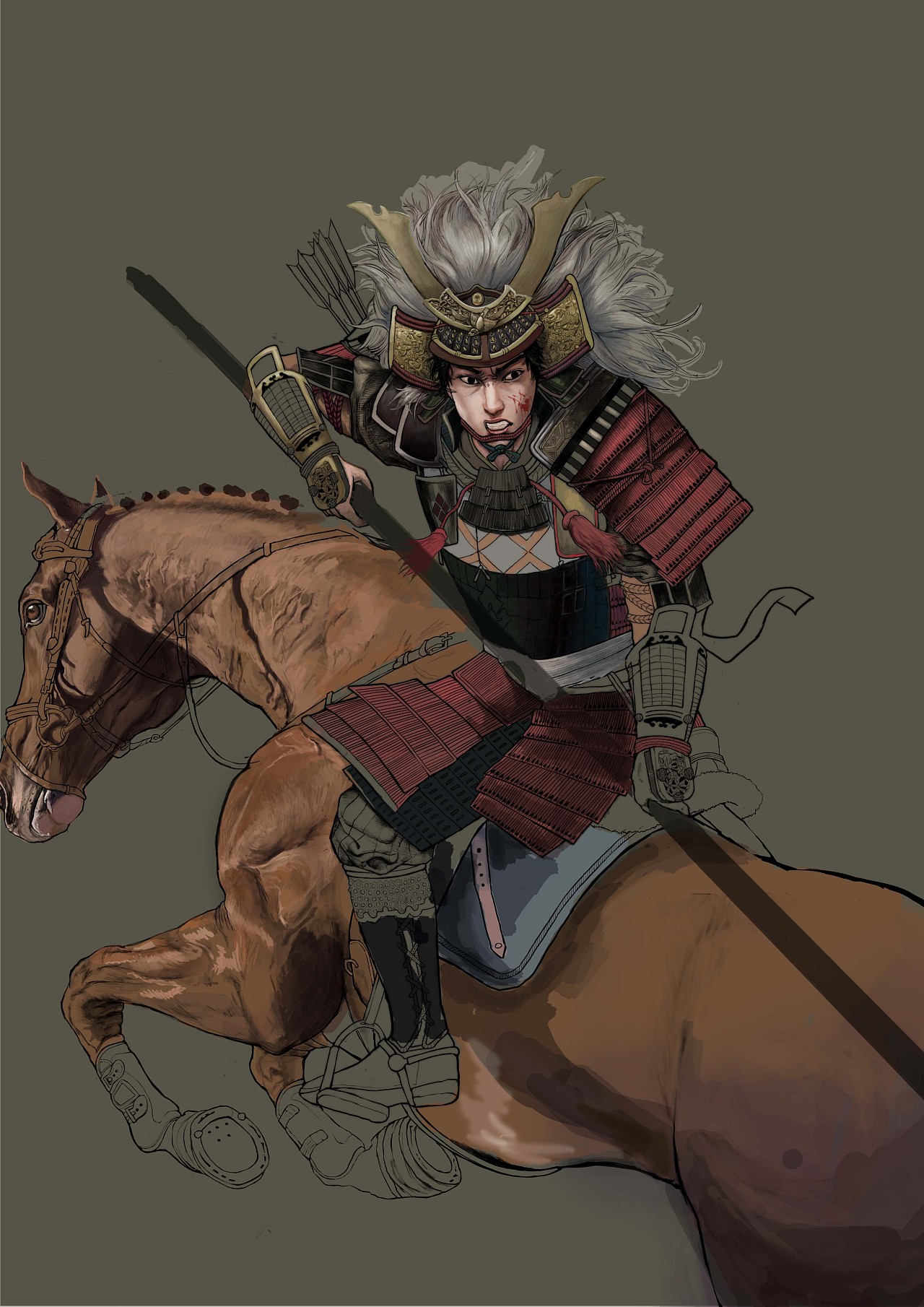 战国武士|插画|插画习作|袁大宝 - 原创作品 - 站酷 (ZCOOL)