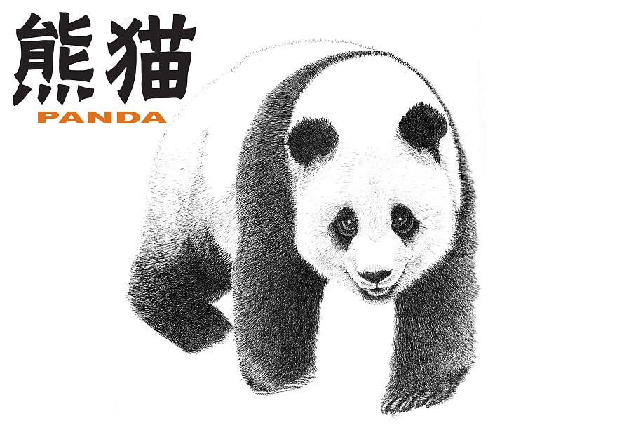 手绘熊猫 明信片