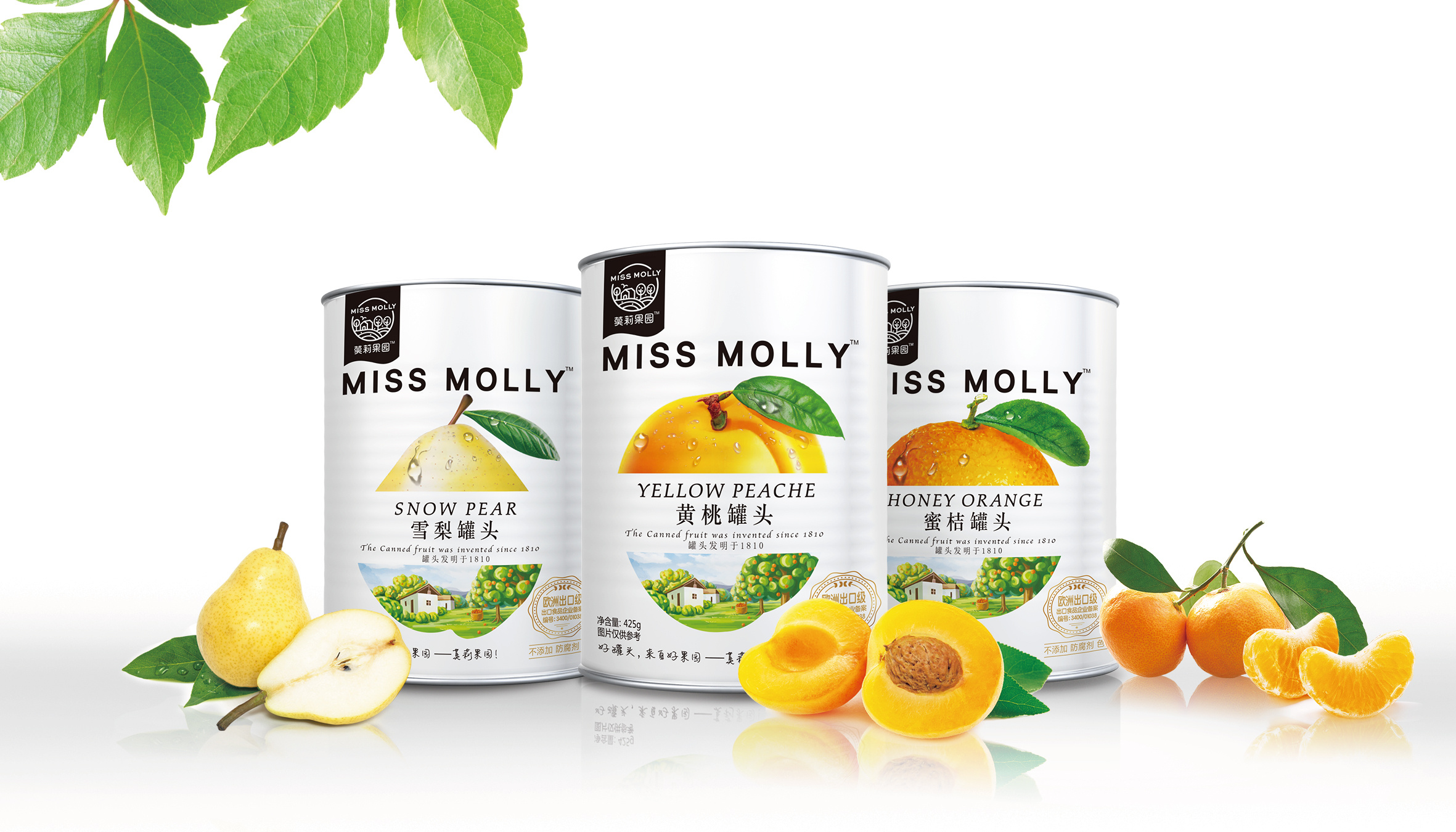 莫莉果园水果罐头品牌包装全案|平面|品牌|大渔