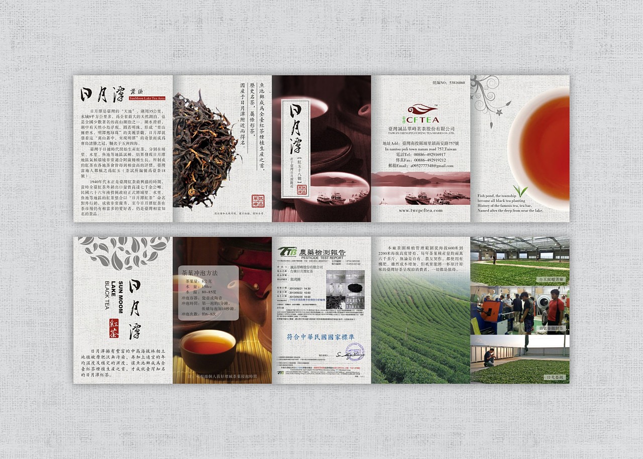 平面设计 折页设计 茶折页设计 台湾茶文创设计