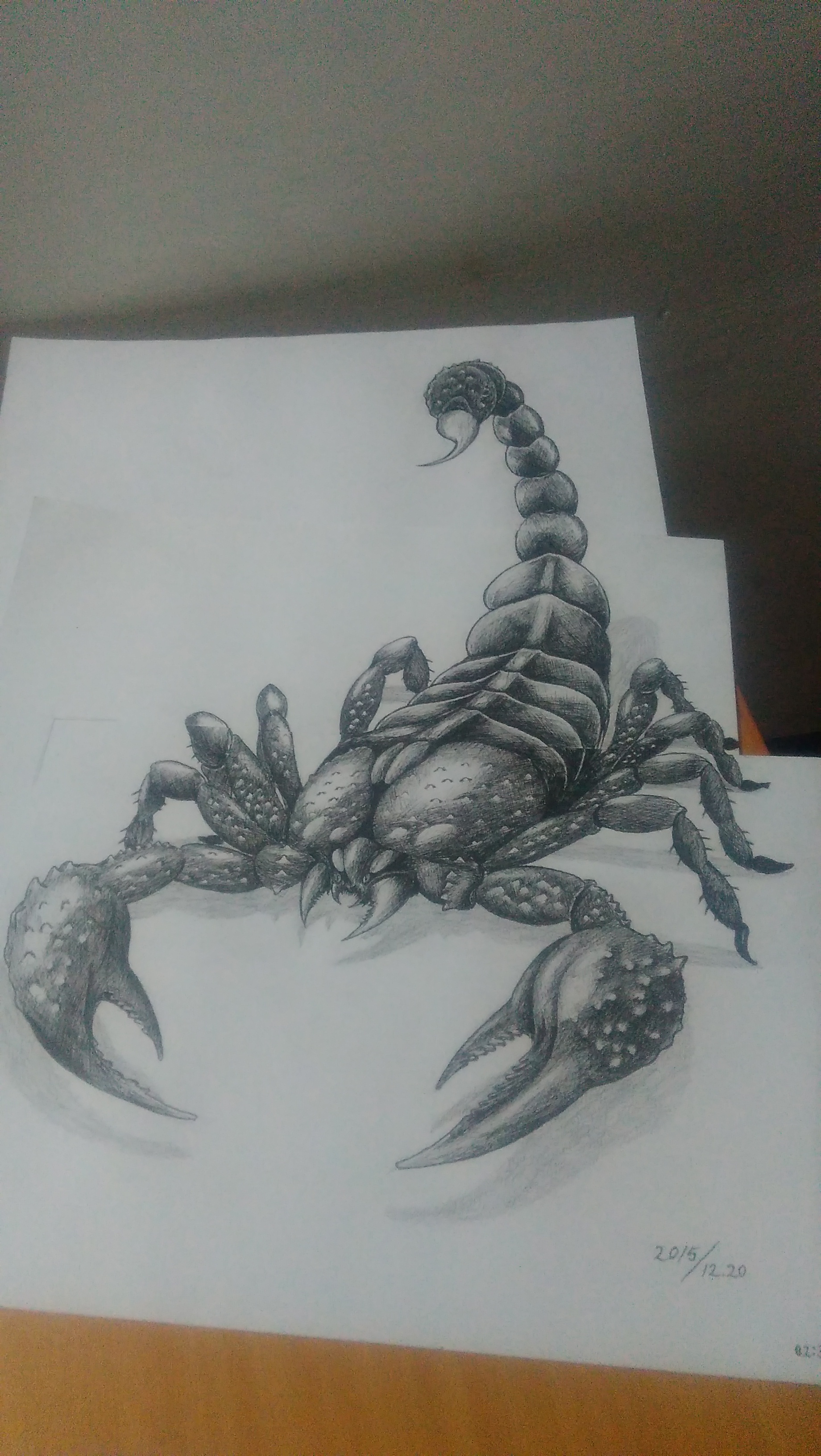 3d蝎子手绘设计