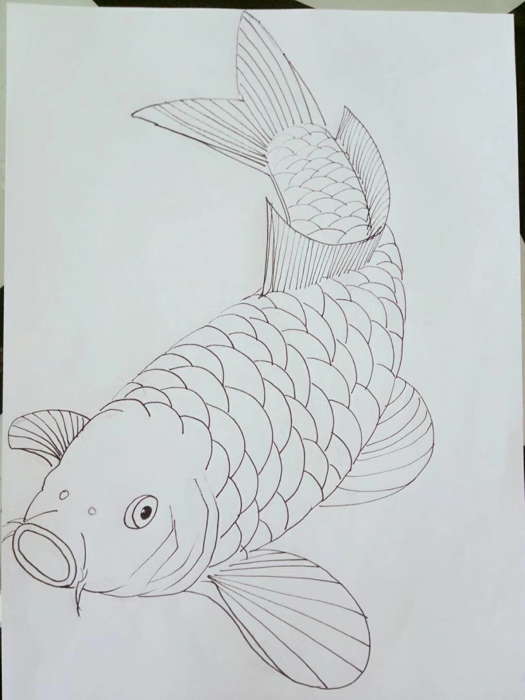 鱼|纯艺术|钢笔画|雷春宏 - 原创作品 - 站酷 (zcool)