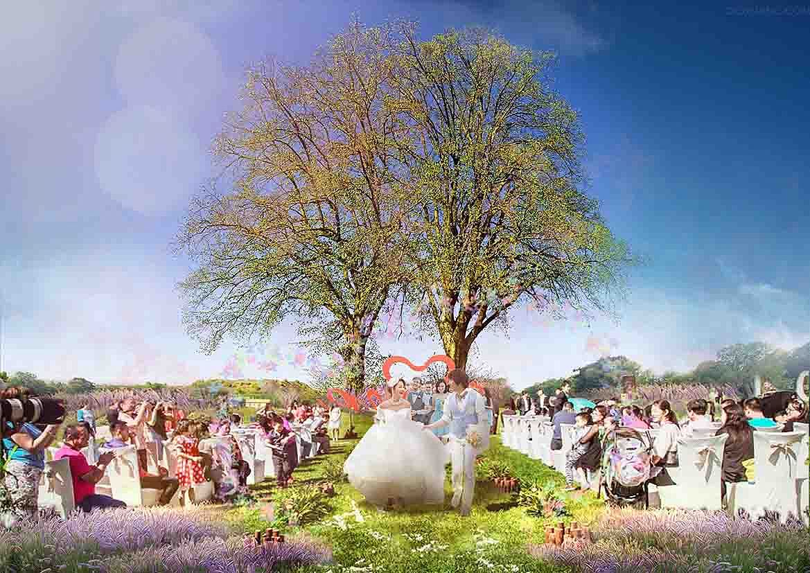 焦作国泰绿色云农庄园设计|空间|景观设计|赟w