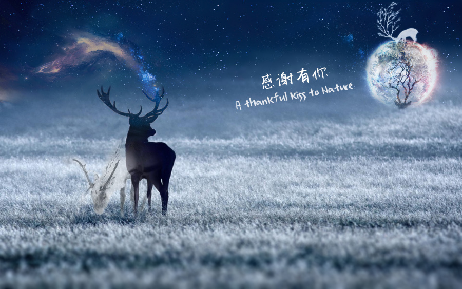 感恩节海报设计--感恩自然|海报|平面|四月一日