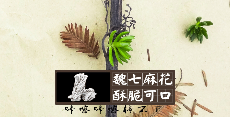 潍坊青州特产-小麻花 复古标志设计|标志|平面|