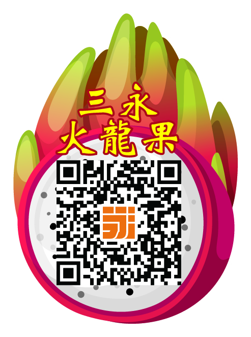 三永白心火龙果-小标签|VI\/CI|平面|古木蓝桥 - 原