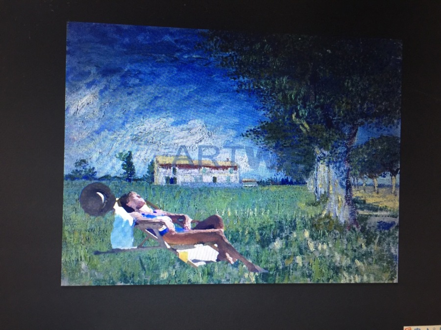 一个梵高画里 乡村晒太阳的少妇。|其他平面|平