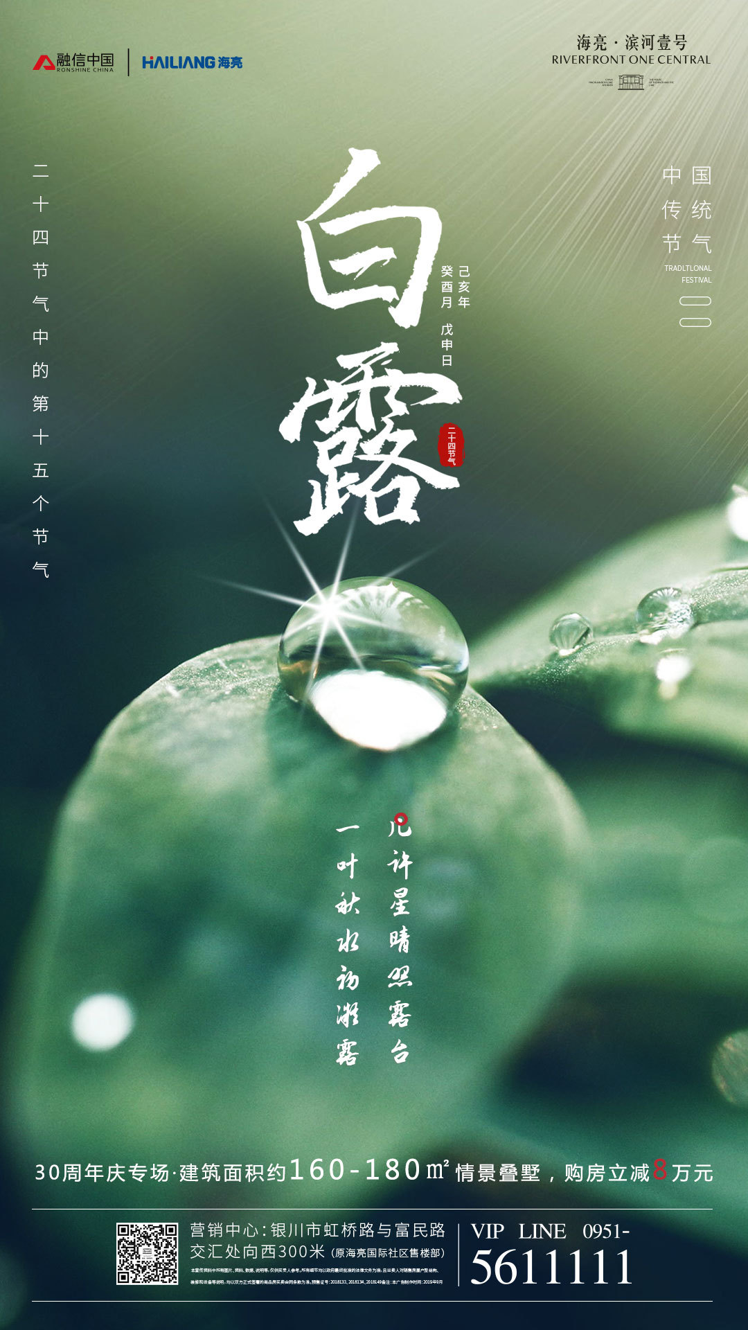 白露节气海报