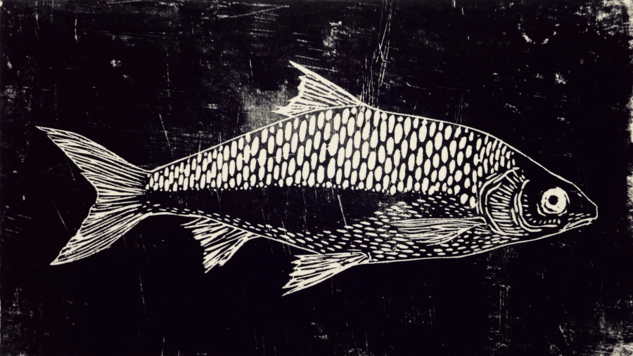 鱼|版画|纯艺术|语MOW - 原创设计作品 - 站酷 (