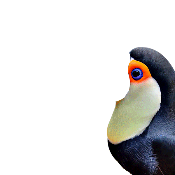 tcl 智能电视 a620u 详情页