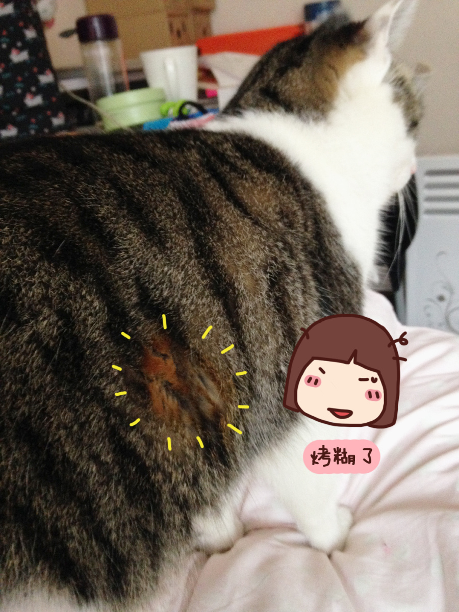 一个大写的懵逼