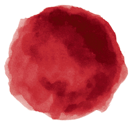 设计背景红色中国风水墨,朵朵开放的梅花,中国味正浓.