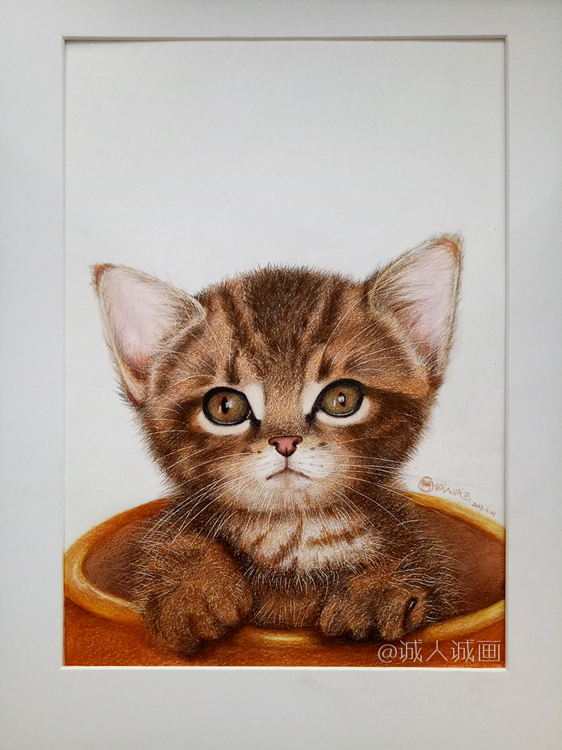 《小奶猫作品手绘视频》|其他绘画|插画|诚人诚