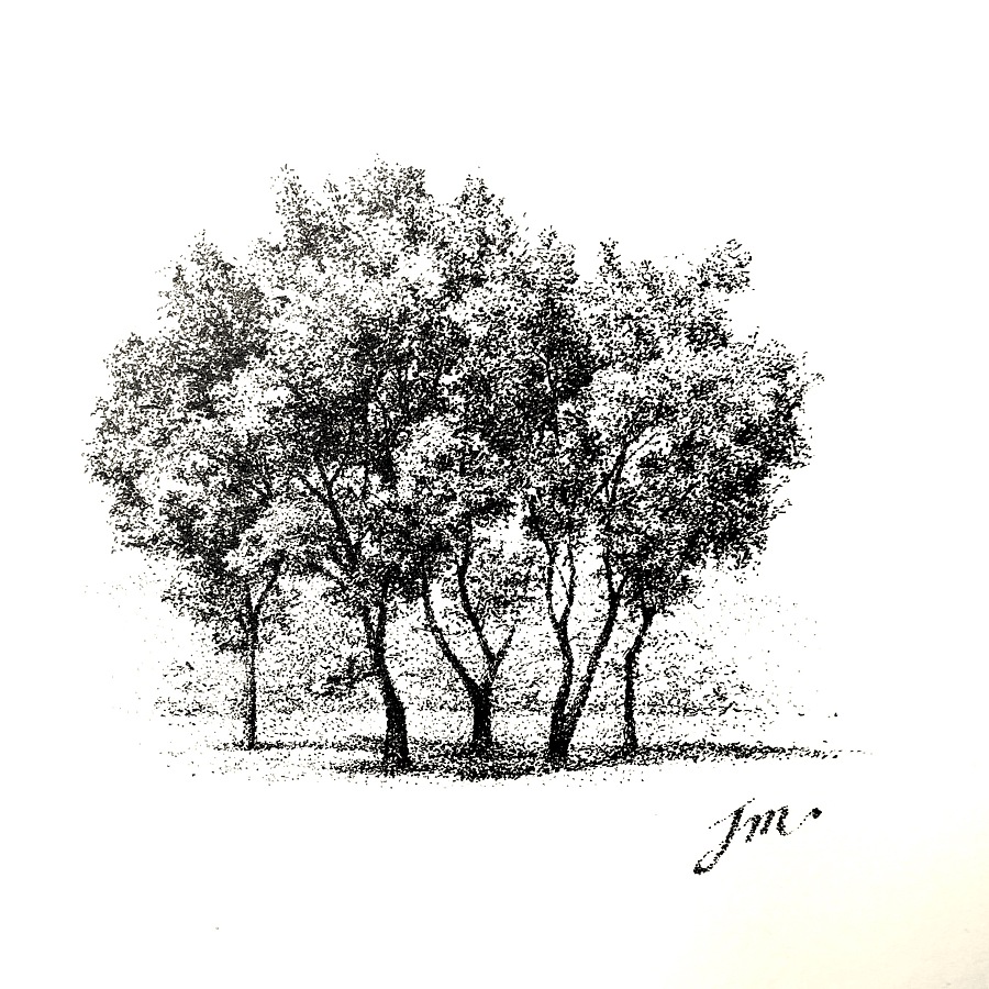 树|钢笔画|纯艺术|艺术爱好者JM - 原创设计作品 - 站酷 (ZCOOL)