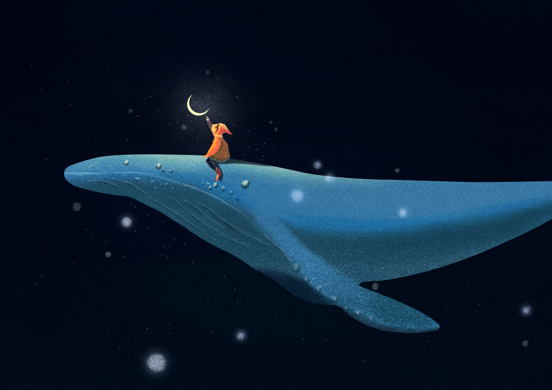鲸鱼|插画|插画习作|单xin蕾 - 临摹作品 - 站酷