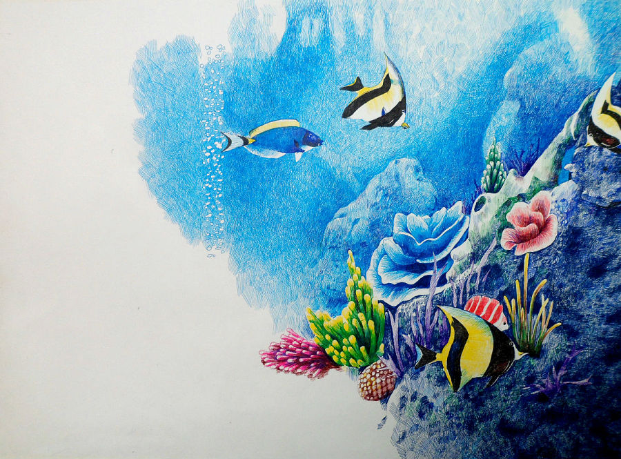 彩色中性笔:海底世界|绘画习作|插画|舒展 - 原创