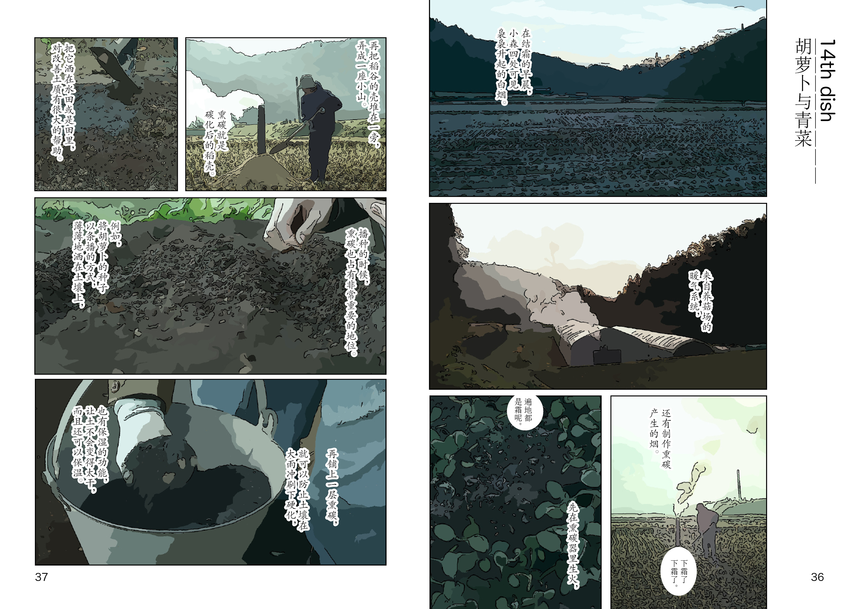 漫画书《小森林》2