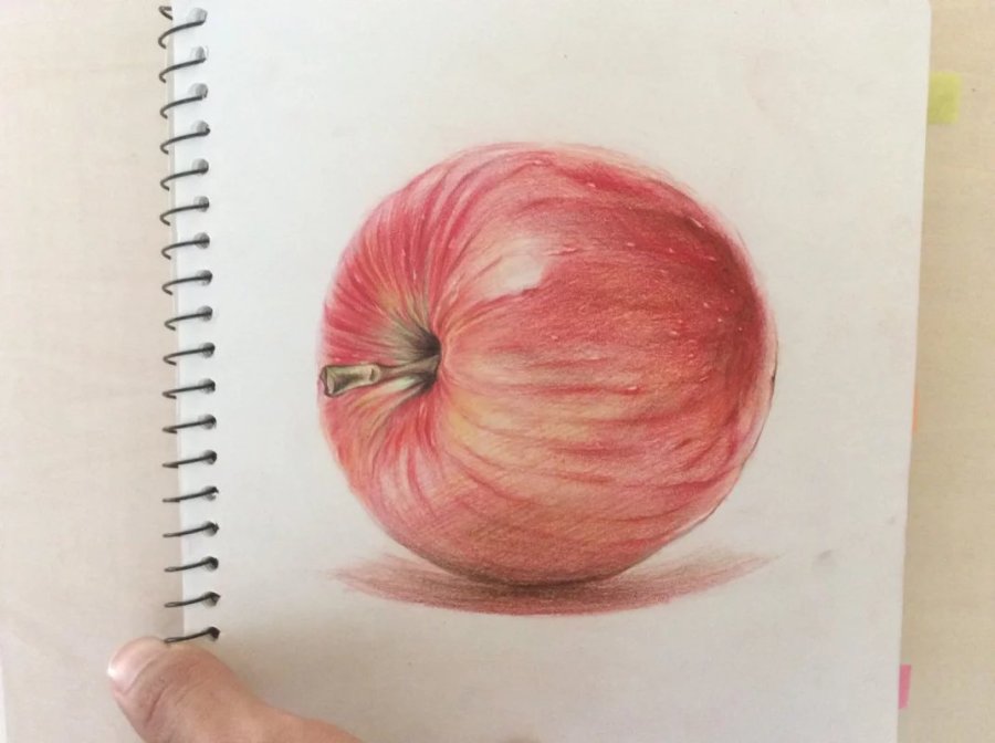 用彩铅绘制一个-苹果|绘画习作|插画|小英有你 