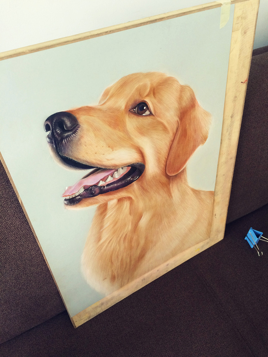 小金毛|彩铅|纯艺术|Timtlb - 原创设计作品 - 站酷