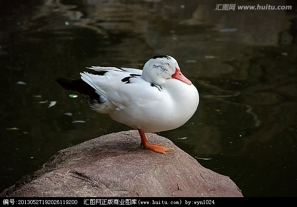 2022杭州亚运会奖牌设计a|其他|其他|0青枫0 -