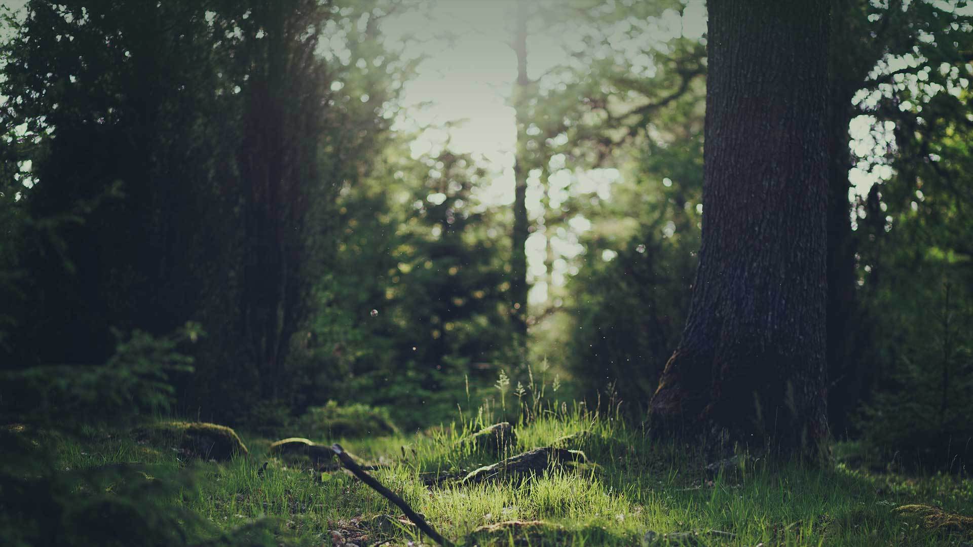 冰川、水下、森林、山峰高清背景分享|平面|图案|jiehucn - 原创作品 - 站酷 (ZCOOL)