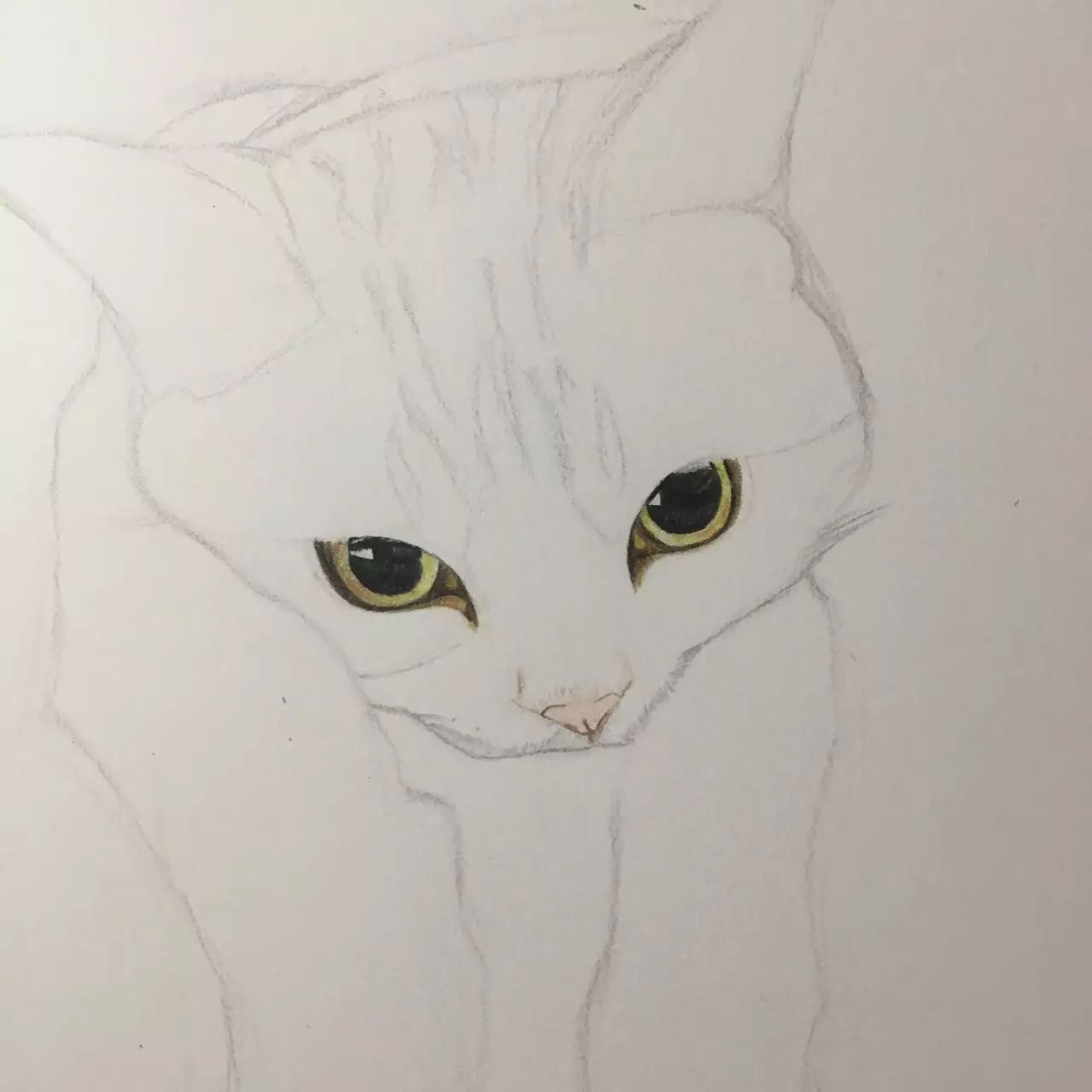 撸只瓜皮酱--上|插画-动漫-手工艺|教程|Magnet