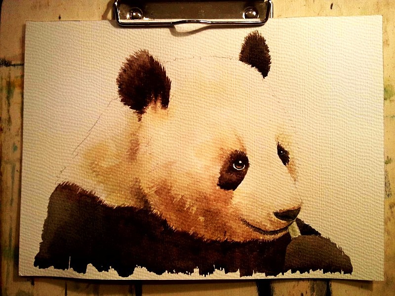 出熊猫的熊猫的细节,在这里,画笔颜料尽量要干点,用平头笔,勾线笔绘画