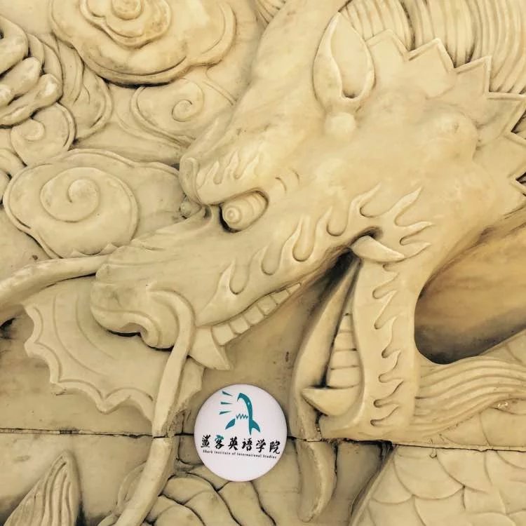 鲨客英语学院小改造|图形\/图案|平面|我是鲨客 