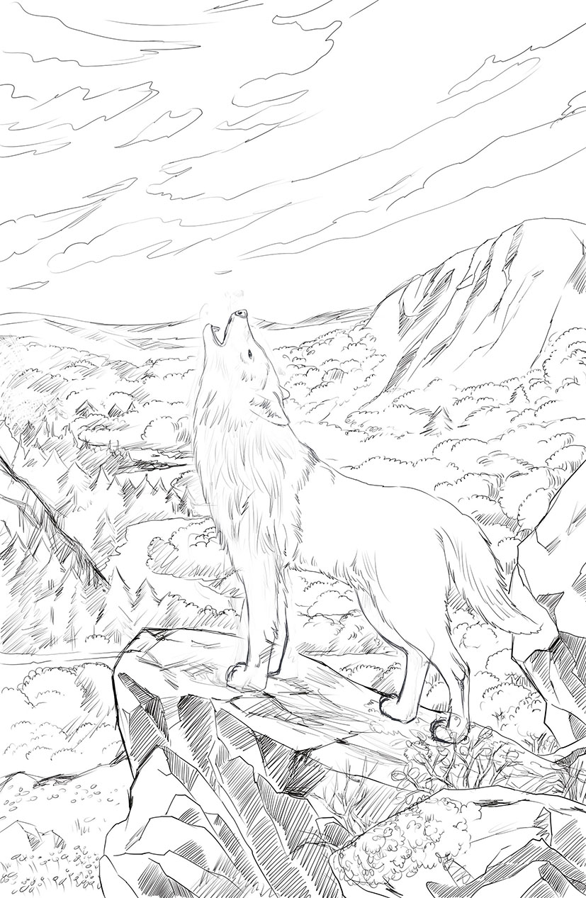 白天鹅 狼的世界 黑天鹅 狼王 涛仔插画 原创作品