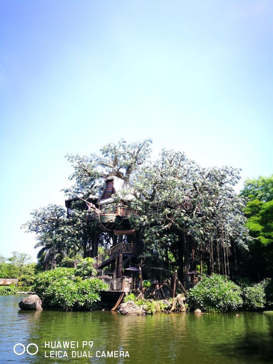 华为P9手机摄影(没有添加其他后期处理哦)|风