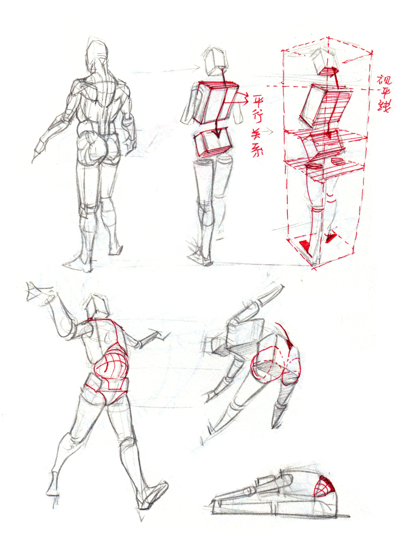 【干货】春哥制造:人体结构绘画药方系列(一) 