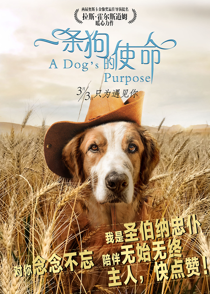 电影《一条狗的使命》几款时光穿越海报设计|