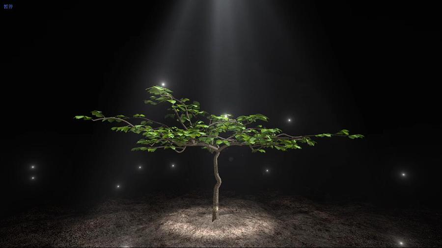 【VFX】猕猴桃树生长|影视特效|影视|7wcc - 原