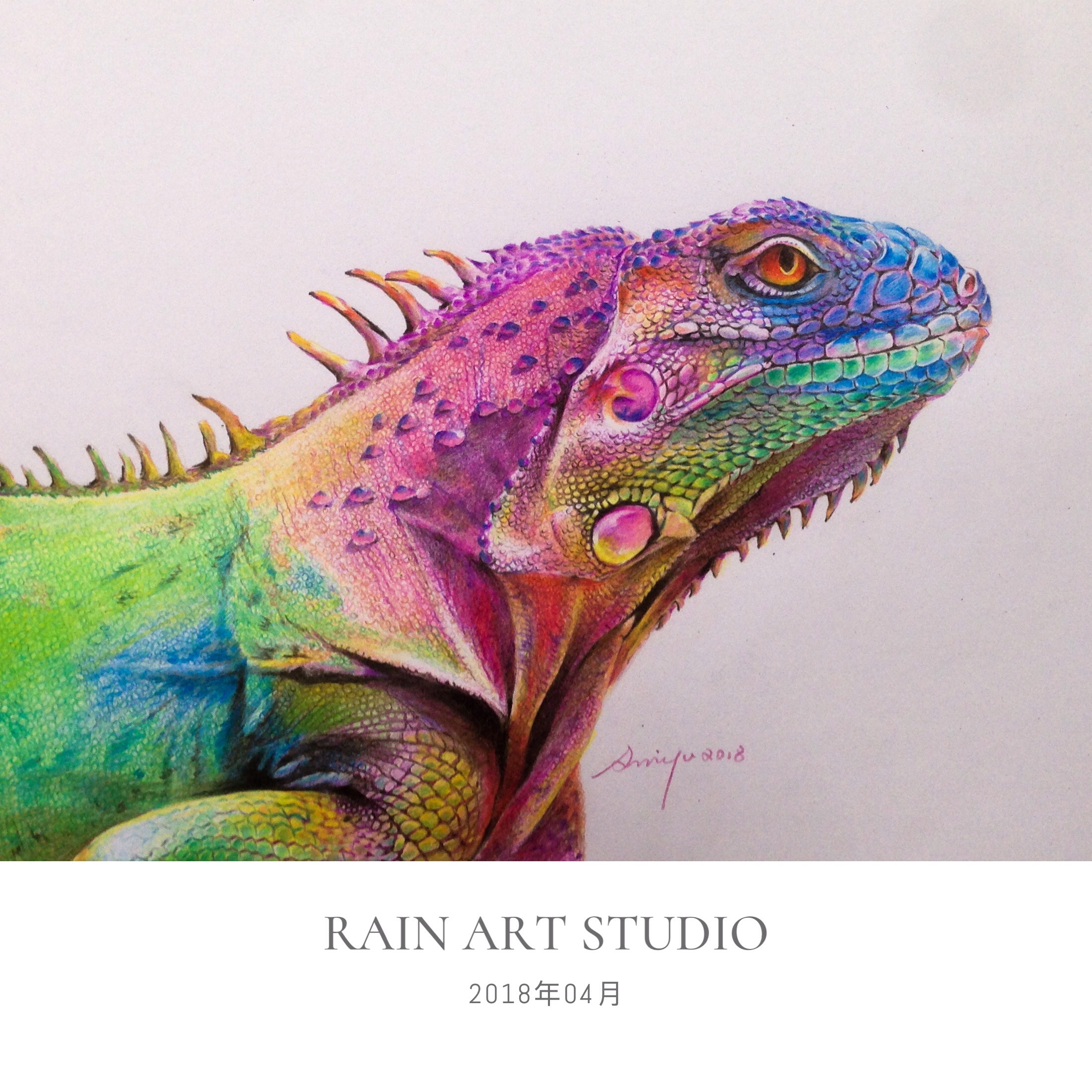 彩铅变色龙|纯艺术|绘画|时雨美术rainart - 原创作品