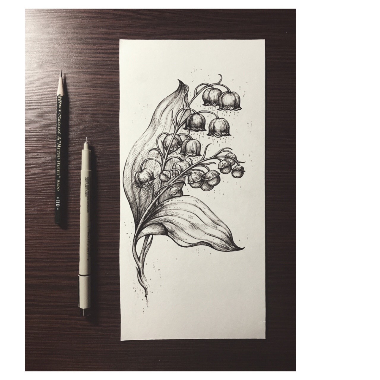 黑白植物|插画|插画习作|find_instrument - 原创作品