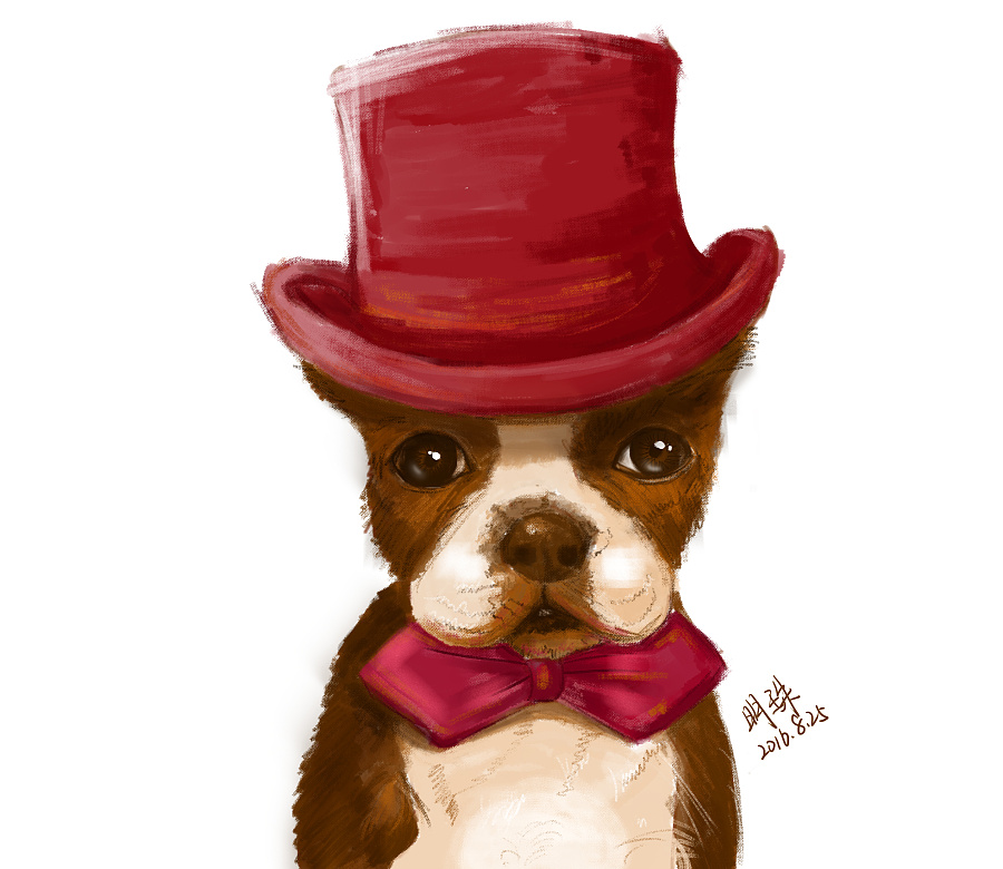 戴帽子的狗先生|绘画习作|插画|明月之珠 - 原创