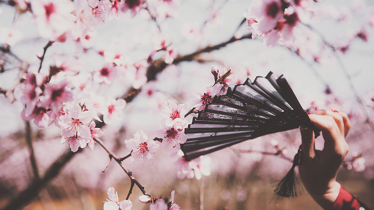 桃花依旧笑春风猜成语_桃花依旧笑春风剧照(2)