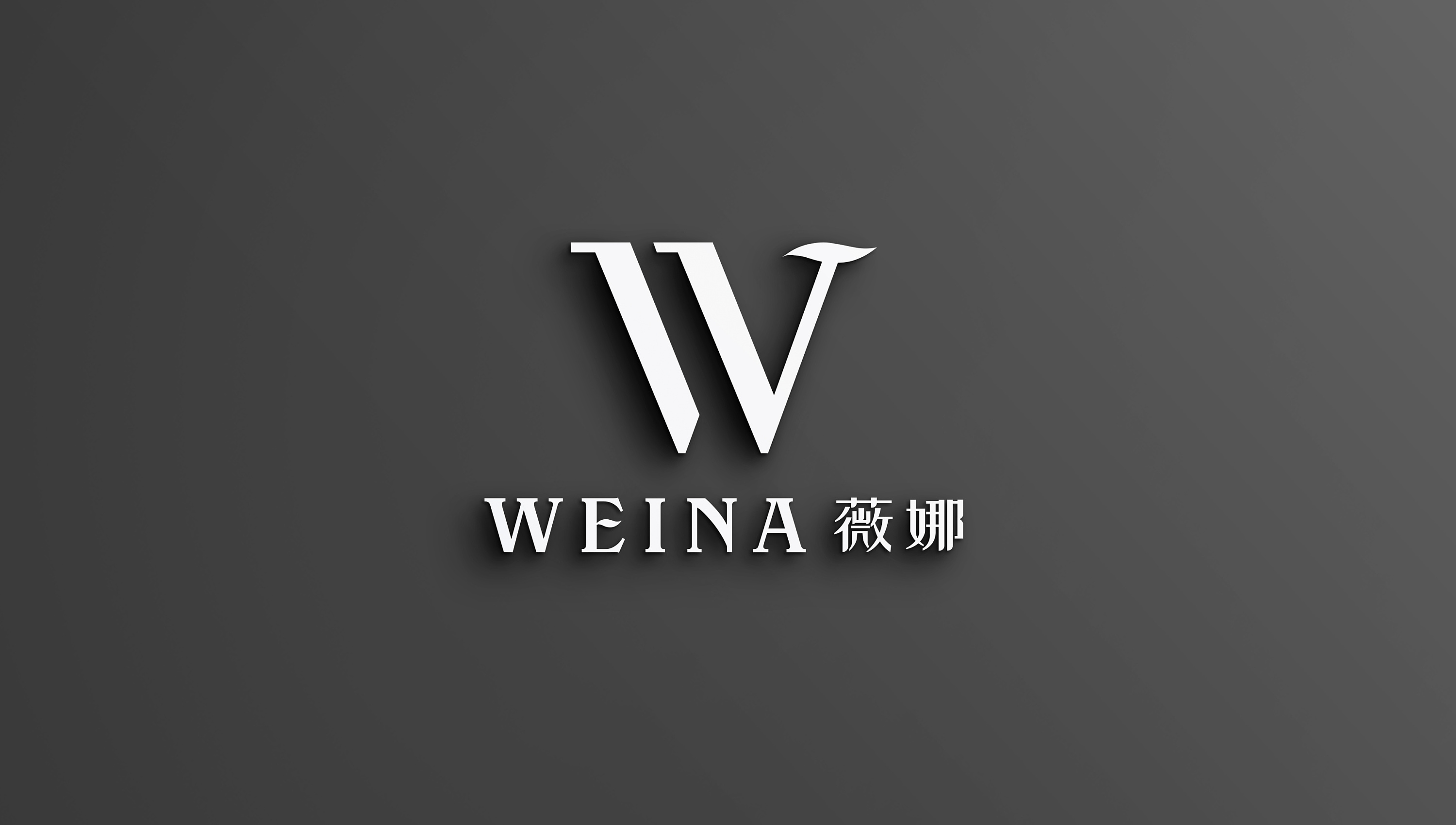 weina薇娜/女装品牌logo设计