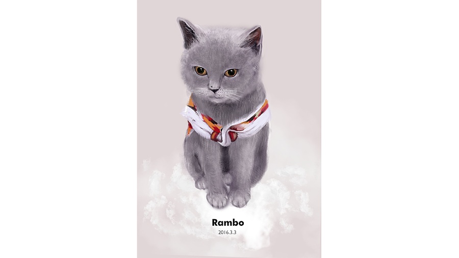 Rambo不止是一只宠物猫|绘画习作|插画|vigge