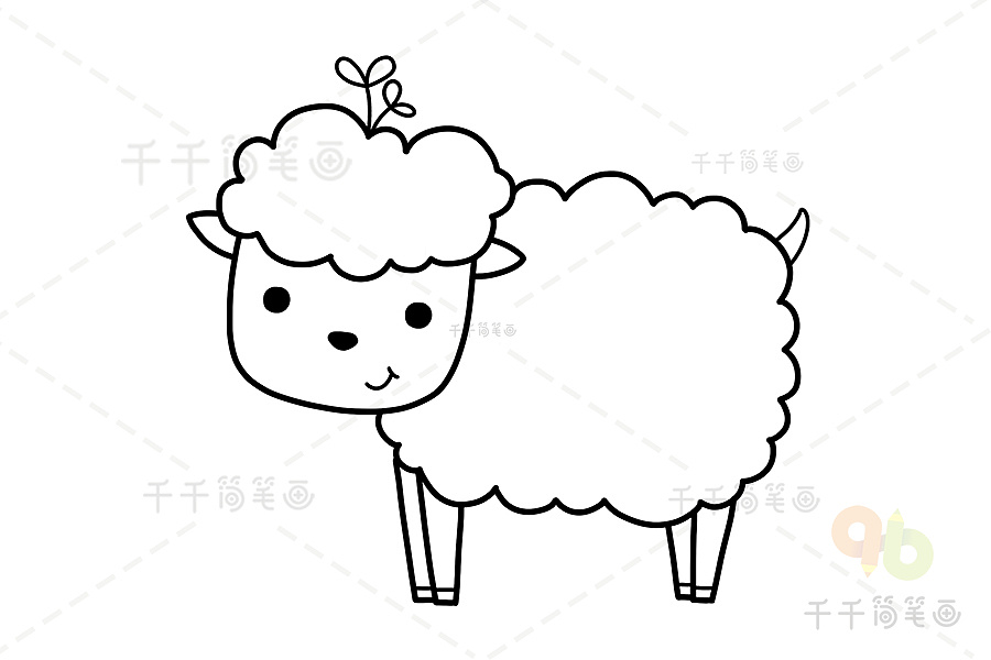 简笔画-小绵羊