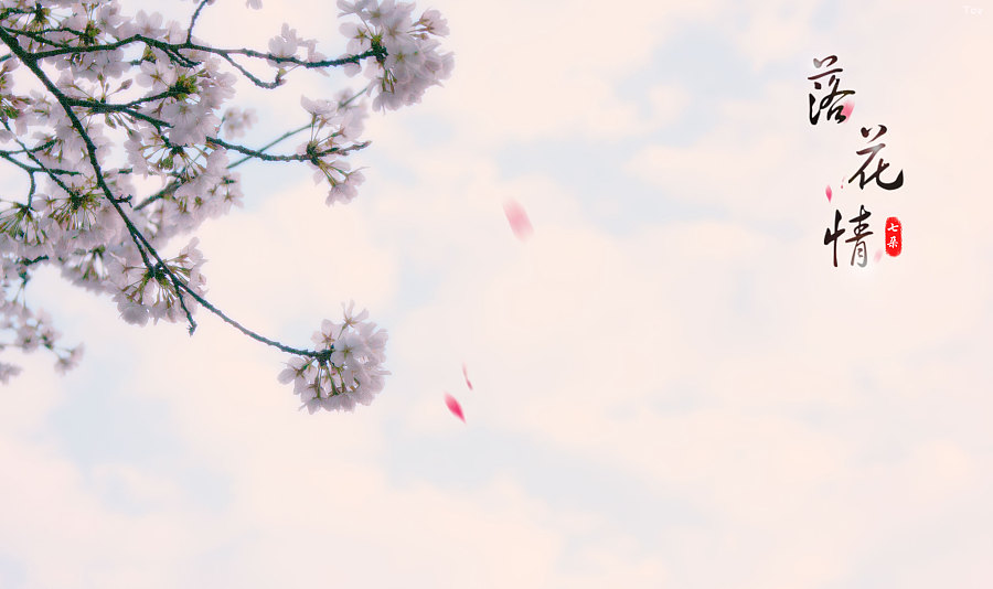 落花情(歌词海报)|海报|平面|没有链条的自行车 - 原创设计作品 - 站酷 (ZCOOL)