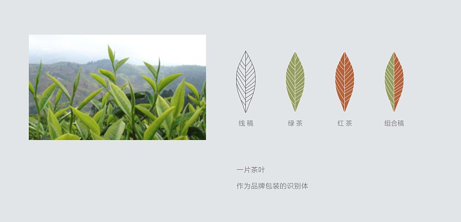 西唐品牌最新产品包装案例:犹江绿月新概念茶